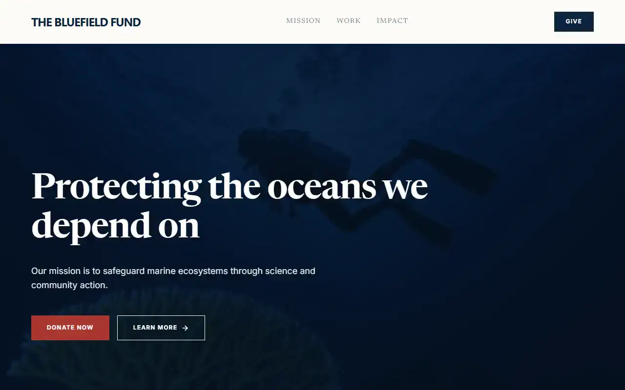 Nonprofit — Landing template